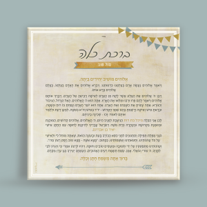 ברכת כלה - חגיגה בכפר